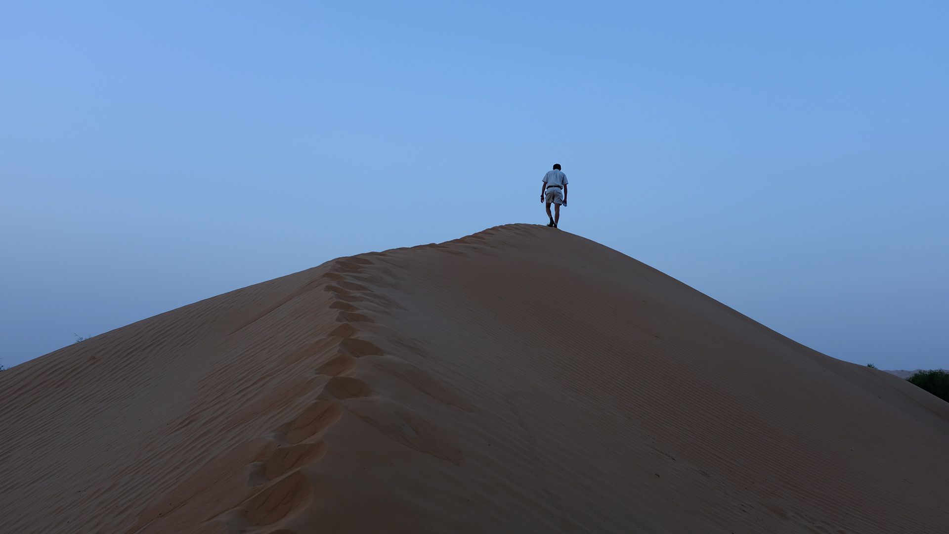 Al Maha, a Luxury Collection Desert Resort & Spaס飨3--ƪ