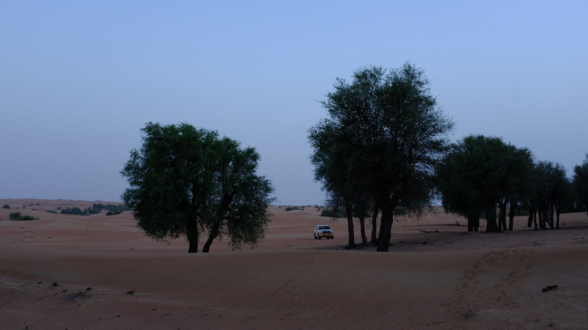 Al Maha, a Luxury Collection Desert Resort & Spaס飨3--ƪ