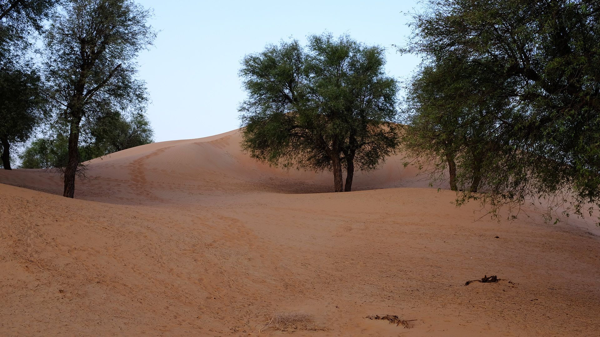 Al Maha, a Luxury Collection Desert Resort & Spaס飨3--ƪ