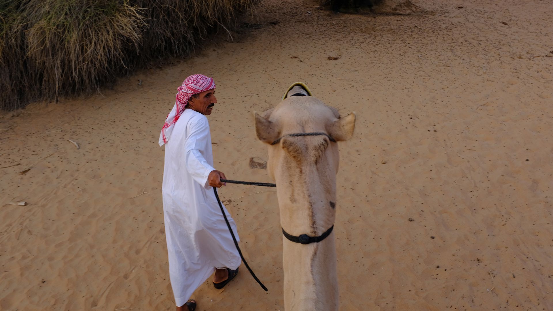 Al Maha, a Luxury Collection Desert Resort & Spaס飨3--ƪ