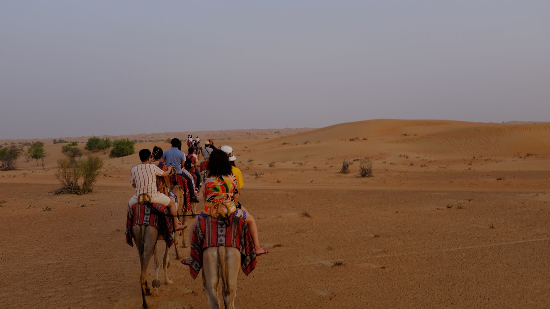 Al Maha, a Luxury Collection Desert Resort & Spaס飨3--ƪ