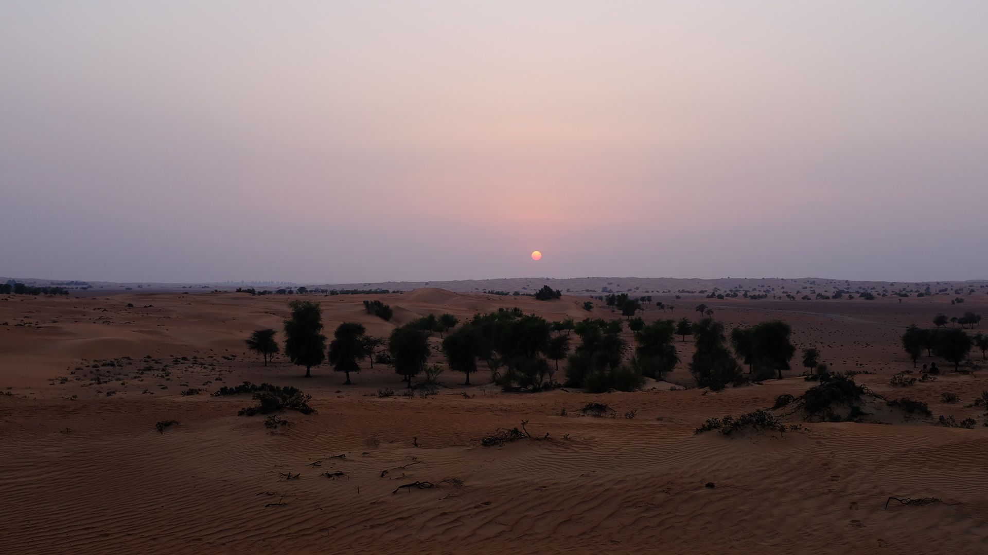 Al Maha, a Luxury Collection Desert Resort & Spaס飨3--ƪ