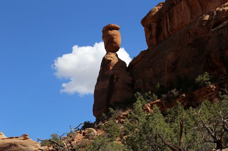 Colorado National Monument (36).JPG