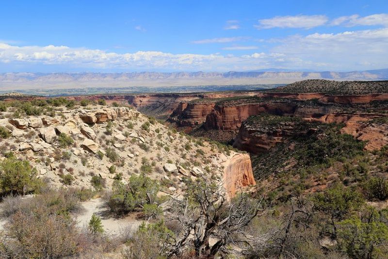 Colorado National Monument (11).JPG