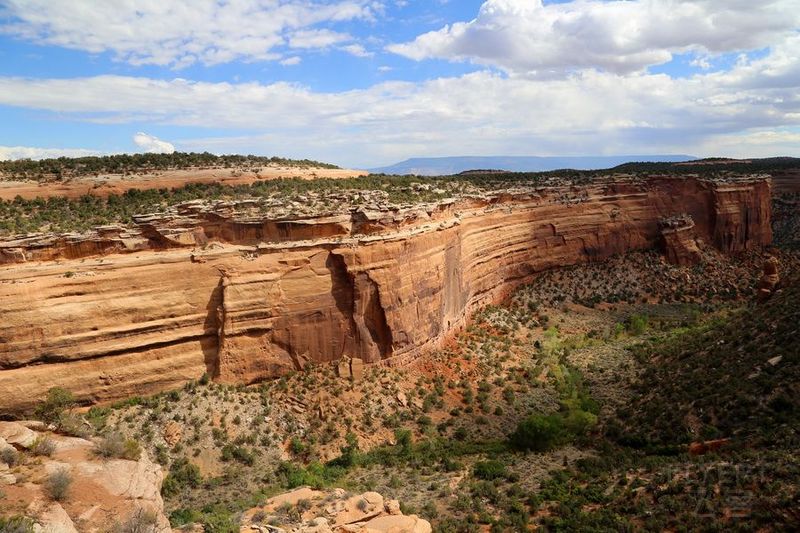 Colorado National Monument (9).JPG