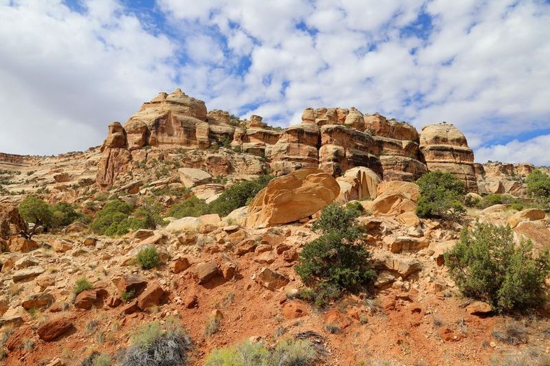 Colorado National Monument (2).JPG