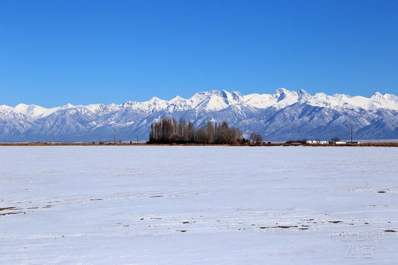 Colorado--Great Dunes National Park (9).JPG