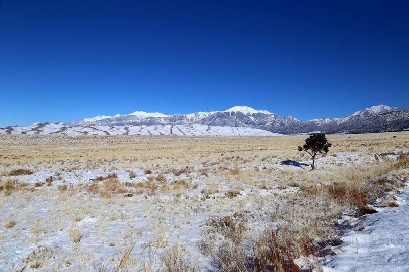 Colorado--Great Dunes National Park (32).JPG