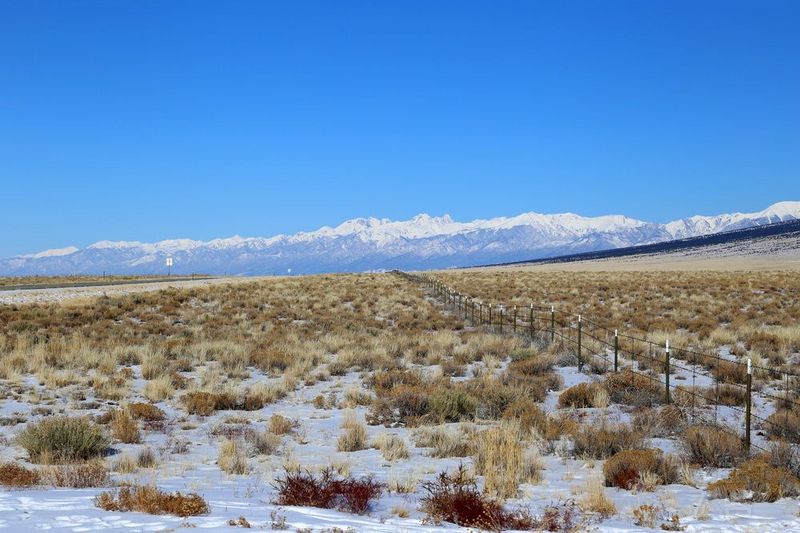 Colorado--Great Dunes National Park (48).JPG