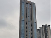 2019һ죬<em>͢</em>