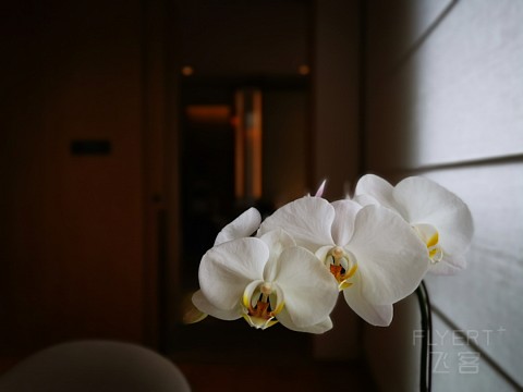 IMG_20190702_160421.jpg