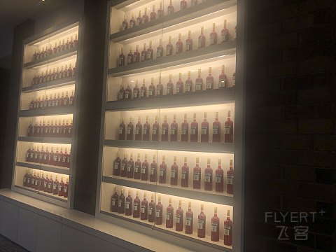 科隆万豪体验