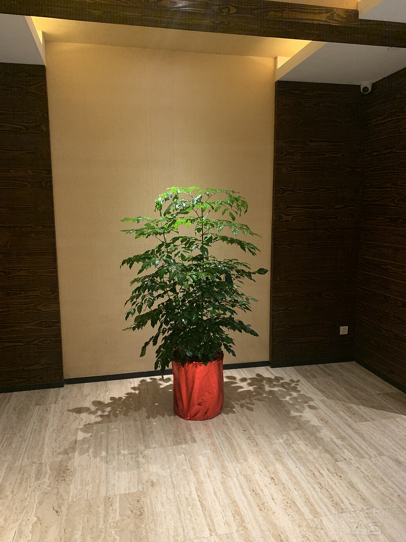 220133WDTKOBQARHNTFPSC.png 220133WDTKOBQARHNTFPSC.png
