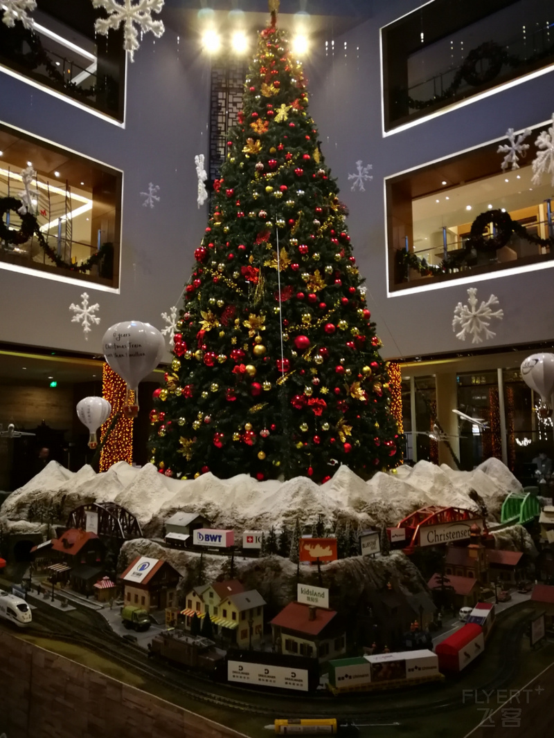 IMG_20191130_184920.jpg