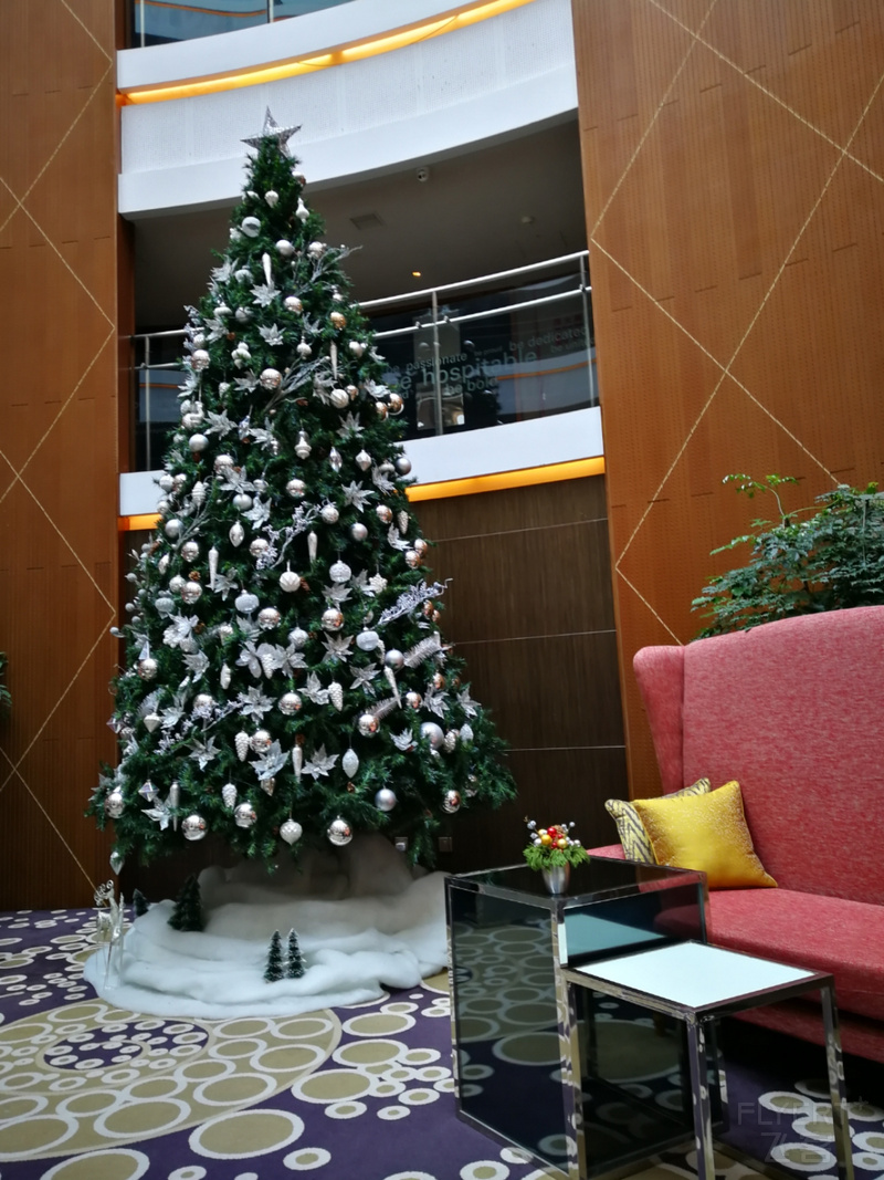 IMG_20191130_104937.jpg