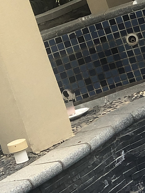 惠州洲际温泉度假酒店