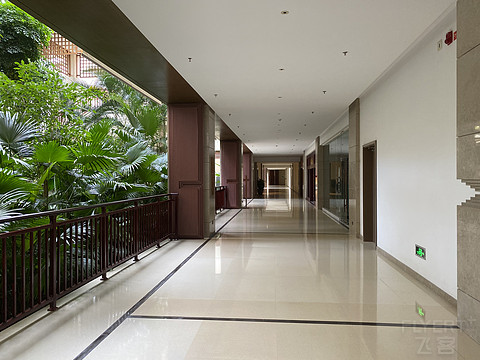 彩云之南|西双版纳云投喜来登酒店大使套入住体验