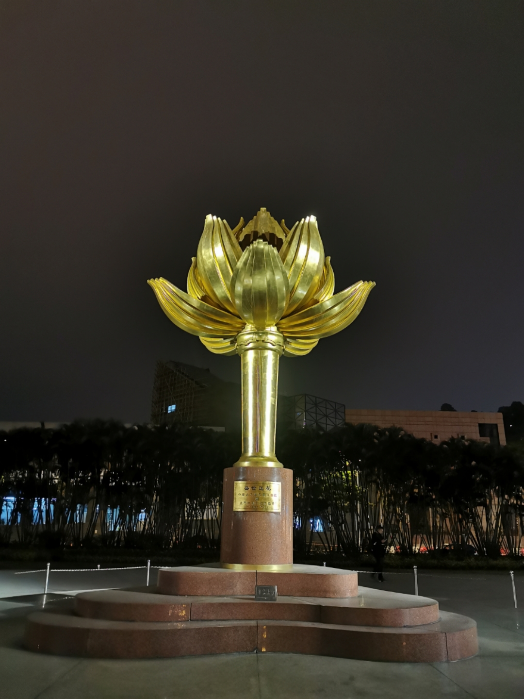 11920 ʮس