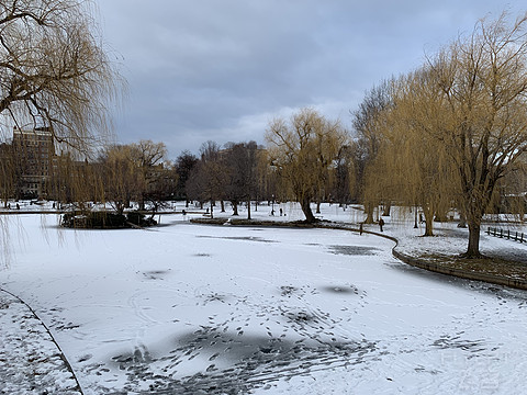 122153ZGTLOQWUVYPGBYIC.png