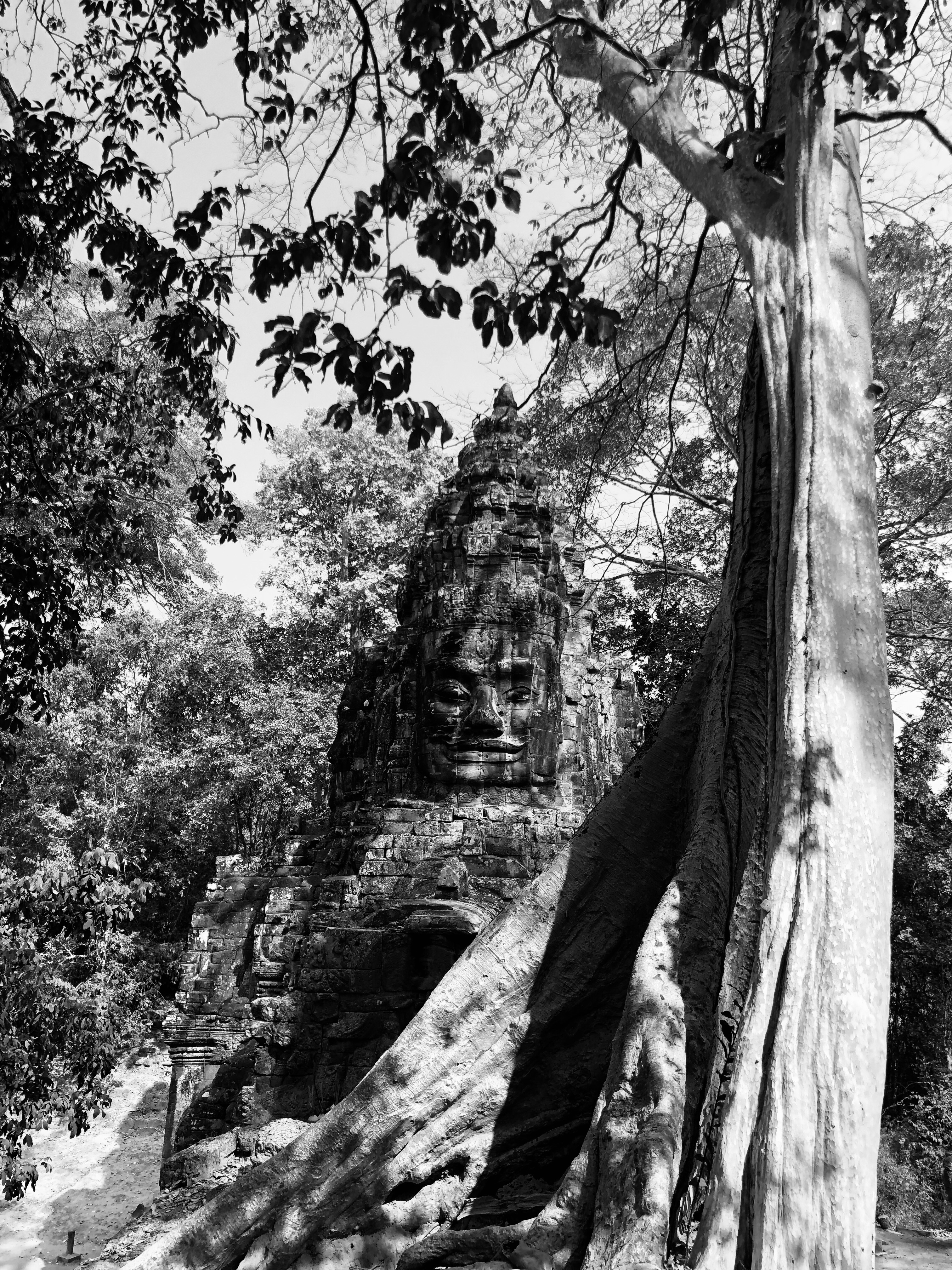 Park Hyatt Siem Reap