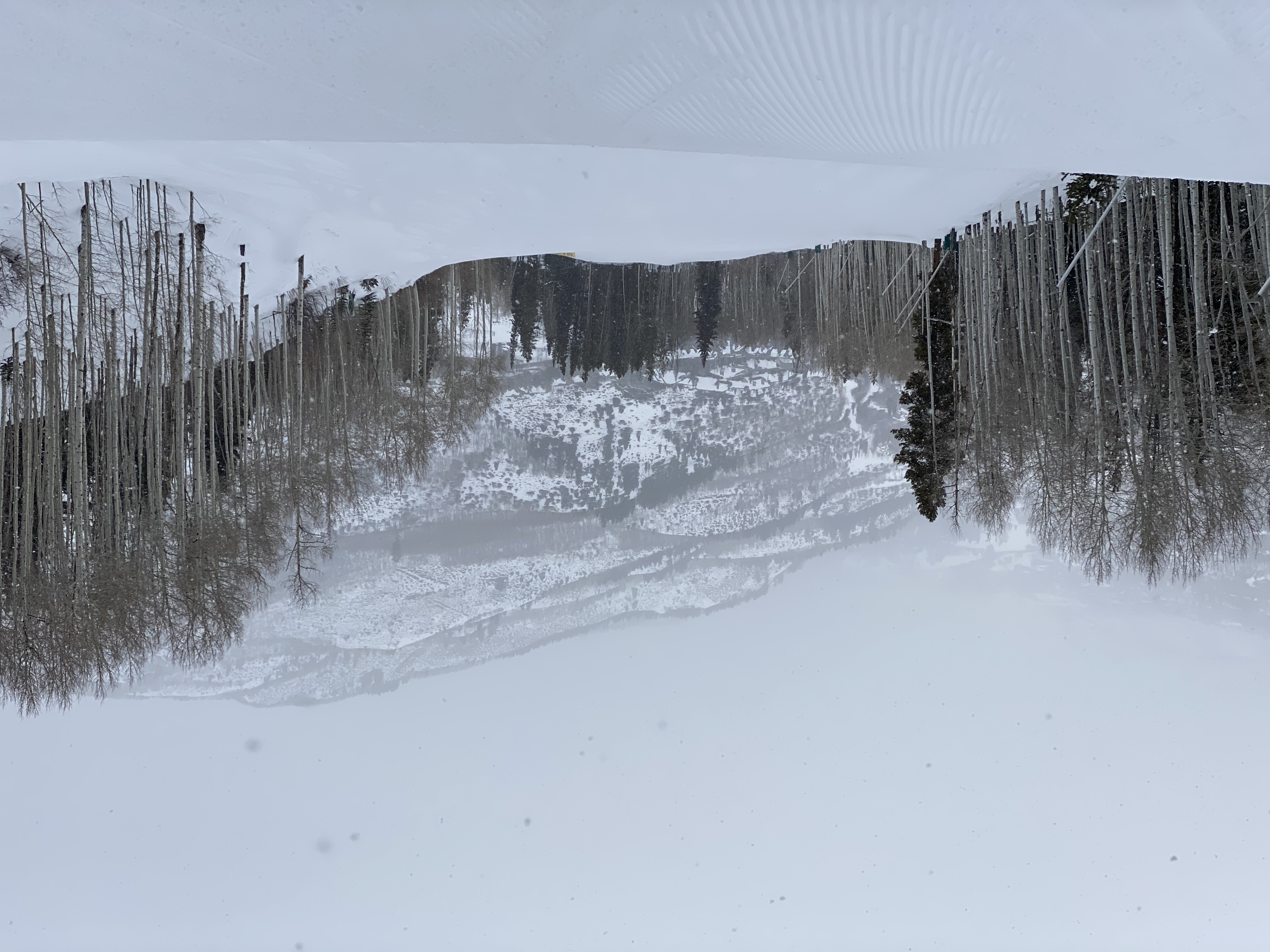 ѩѩPark Hyatt Beaver Creek