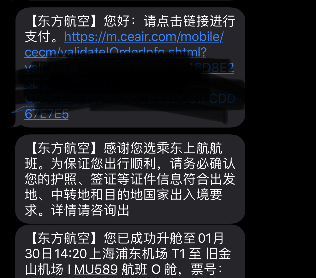 ״ηڼnˢPVG-SFO MU589