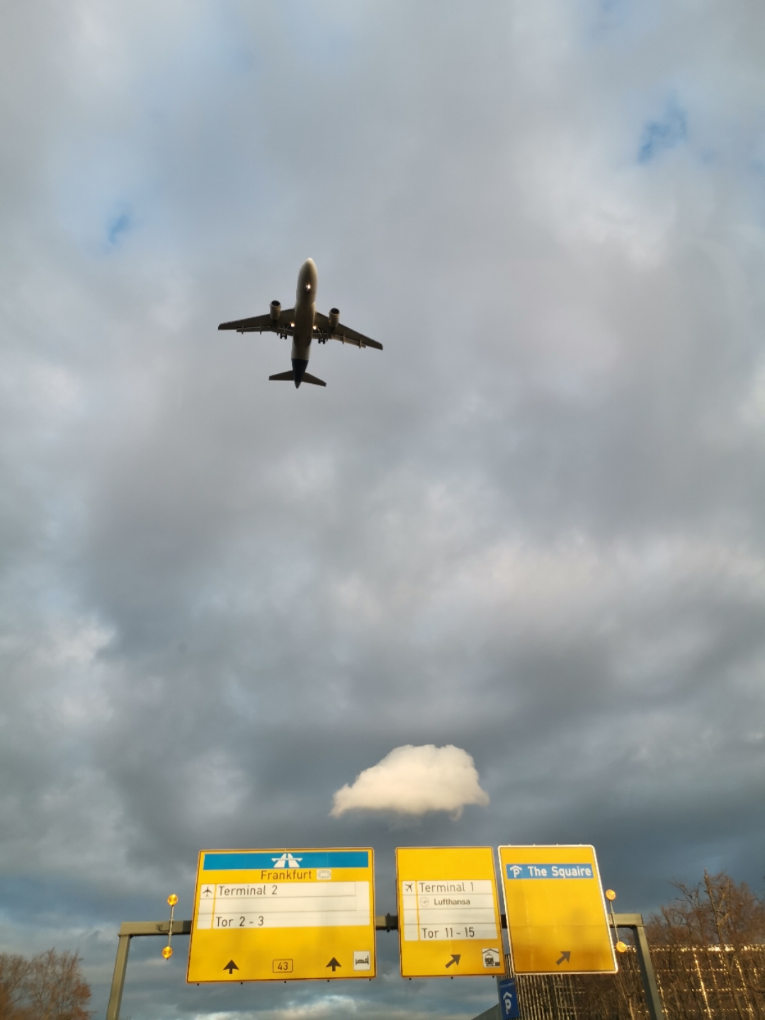 MU219PVG-FRA