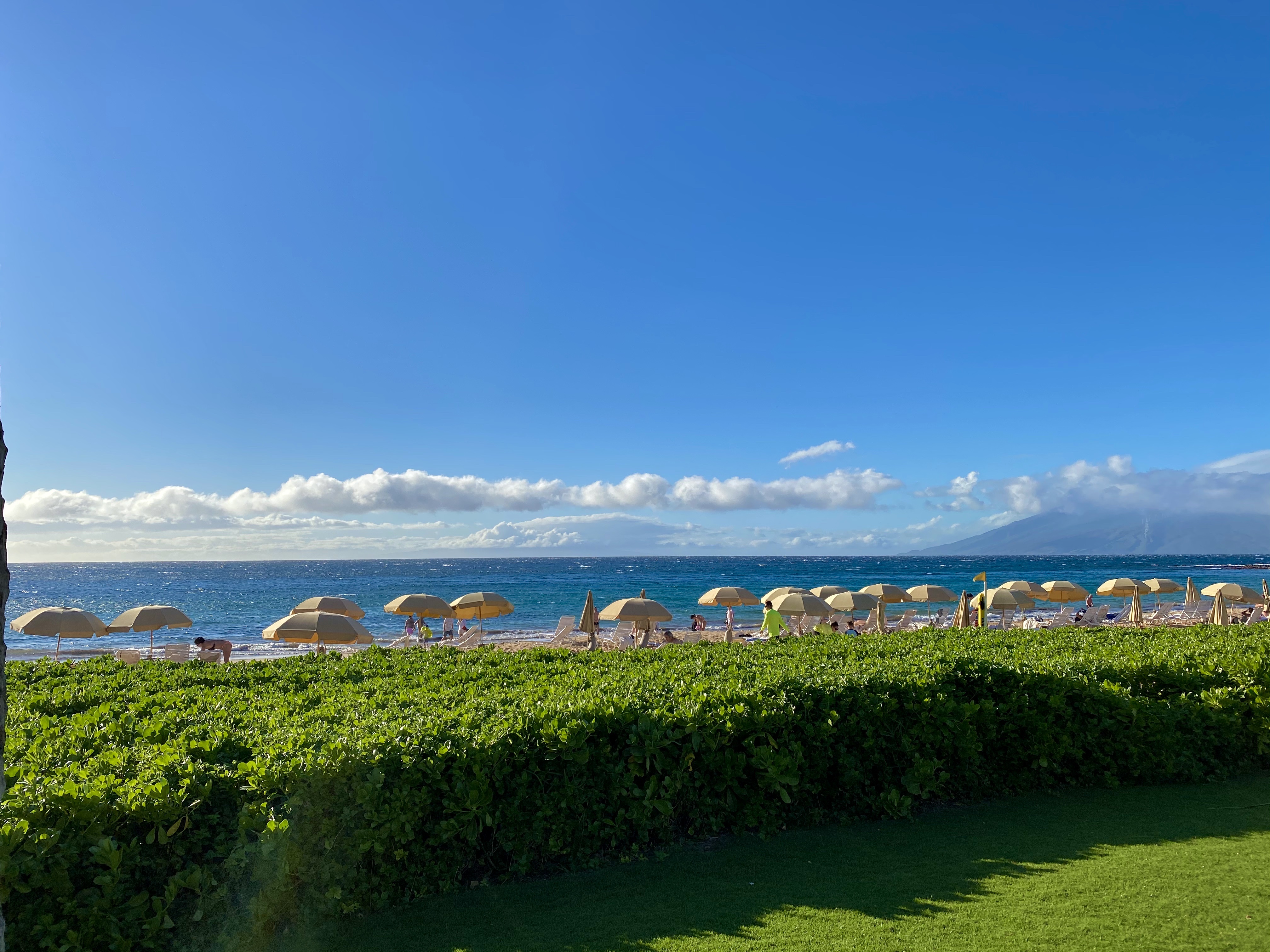  ȼٴ
Grand Wailea Maui