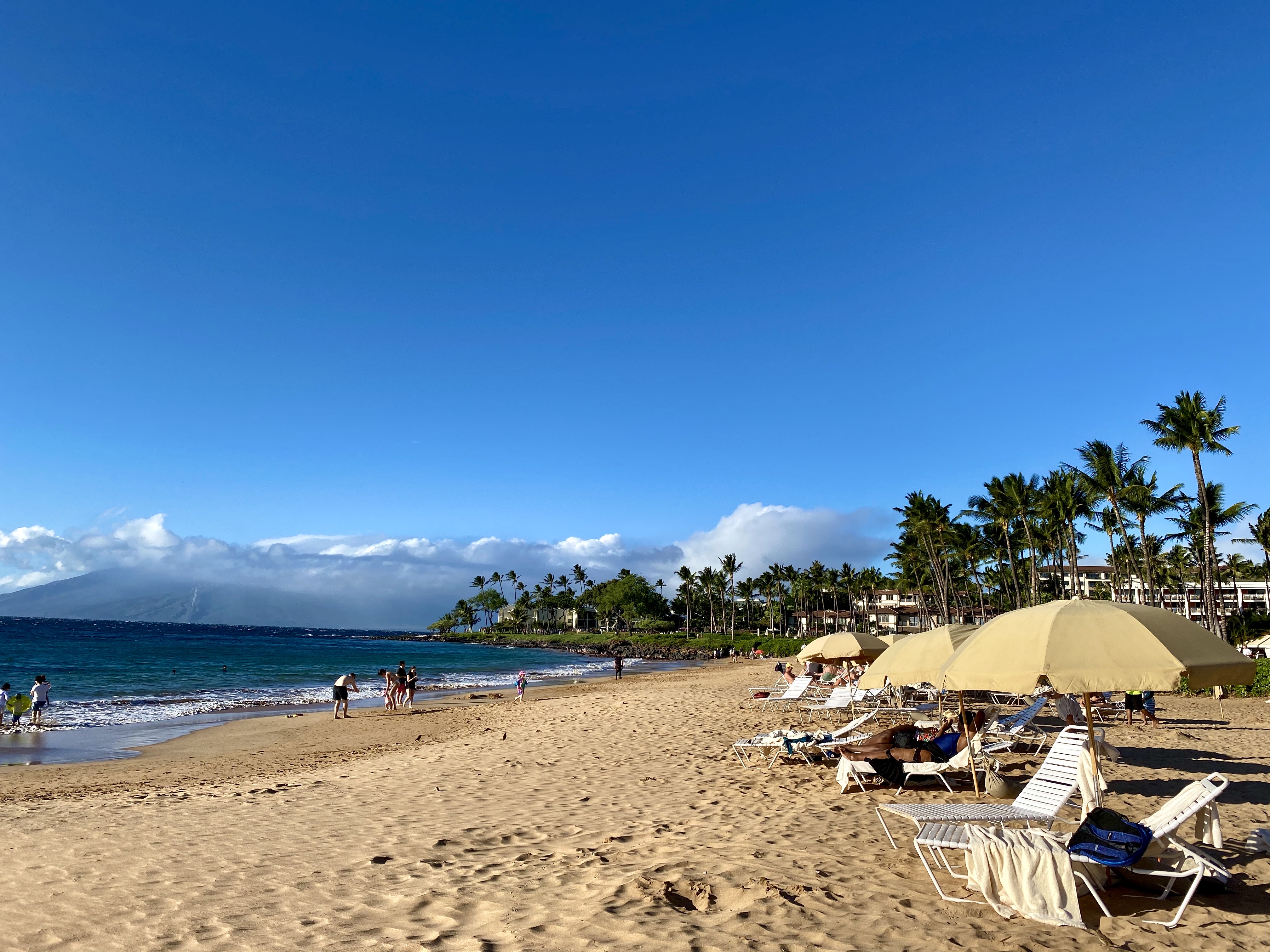  ȼٴ
Grand Wailea Maui