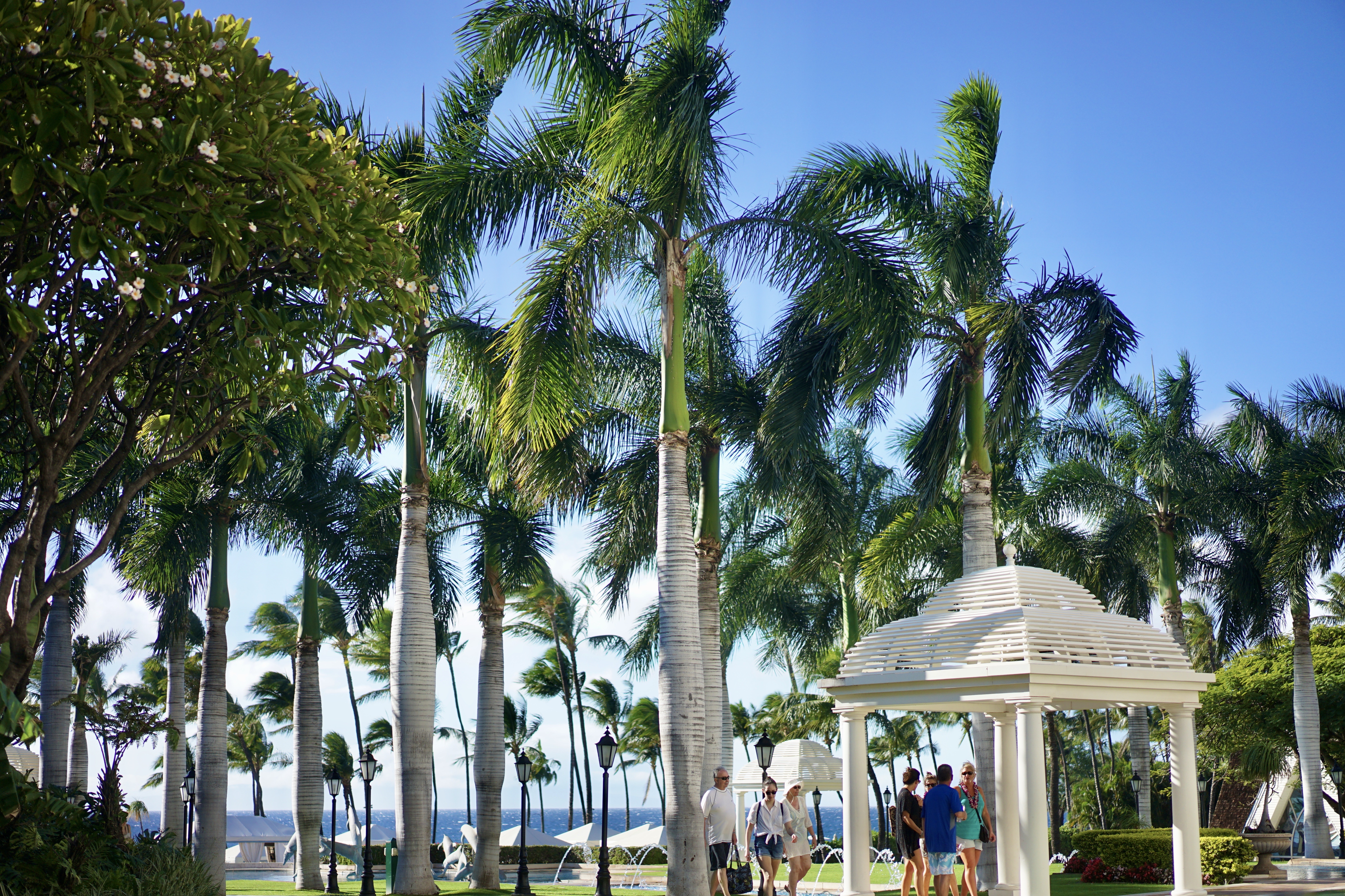  ȼٴ
Grand Wailea Maui