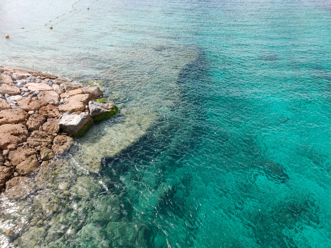 㵺þƵ(Hyatt Regency Seragaki Island Okinawa)