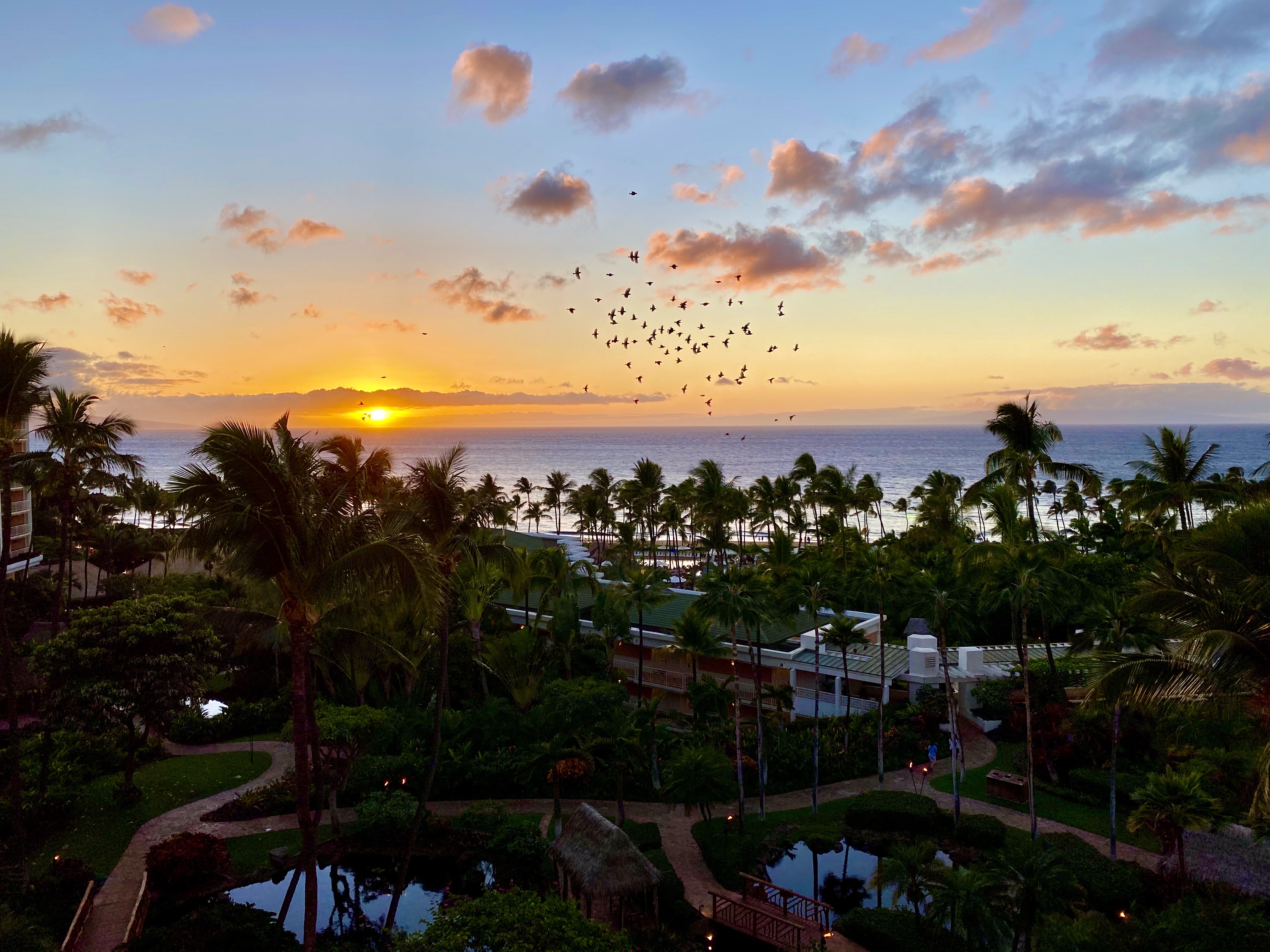 ï˵Grand Wailea Maui