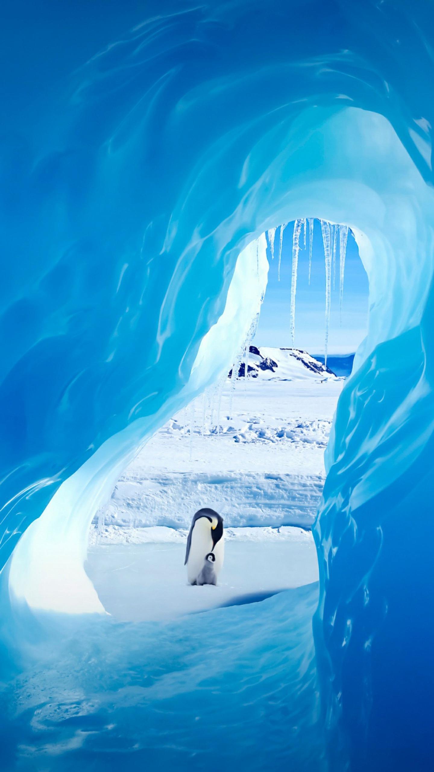 µľϷ ߣô