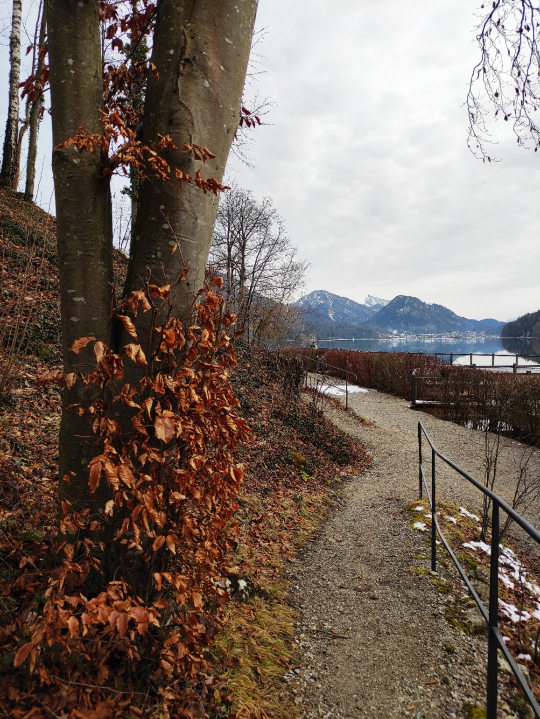 Schloss Fuschl Salzburgѡǳ#ͼ#