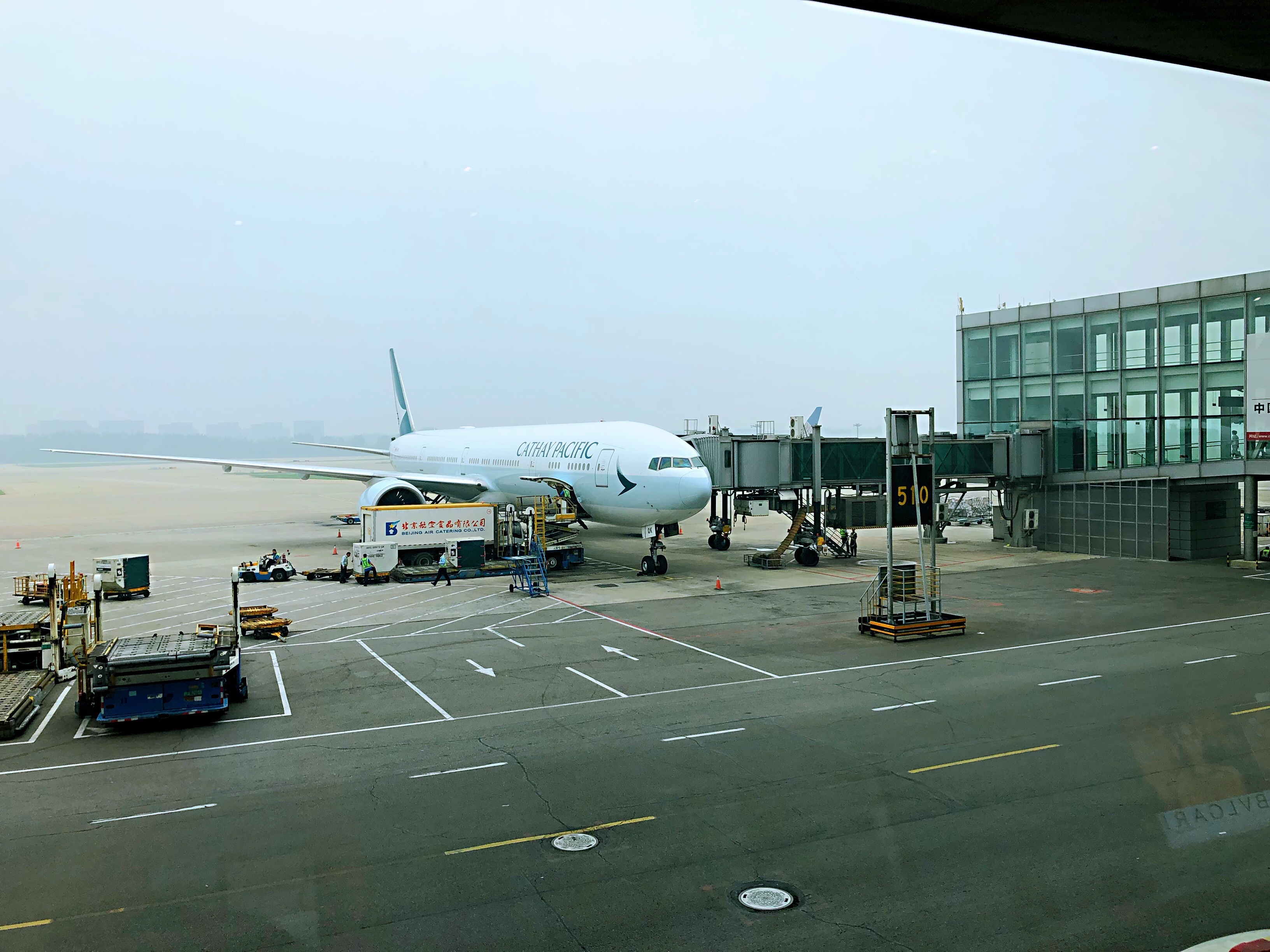 7¹̩¿س CX391 PEK-HKGCX113 HKG-AKL