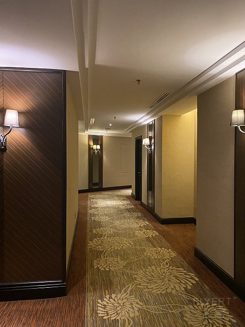 133535HQCUJUKRPCGOTEJH.png