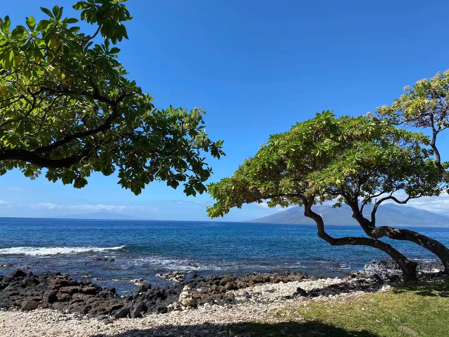 ëMaui Wailea Marriott