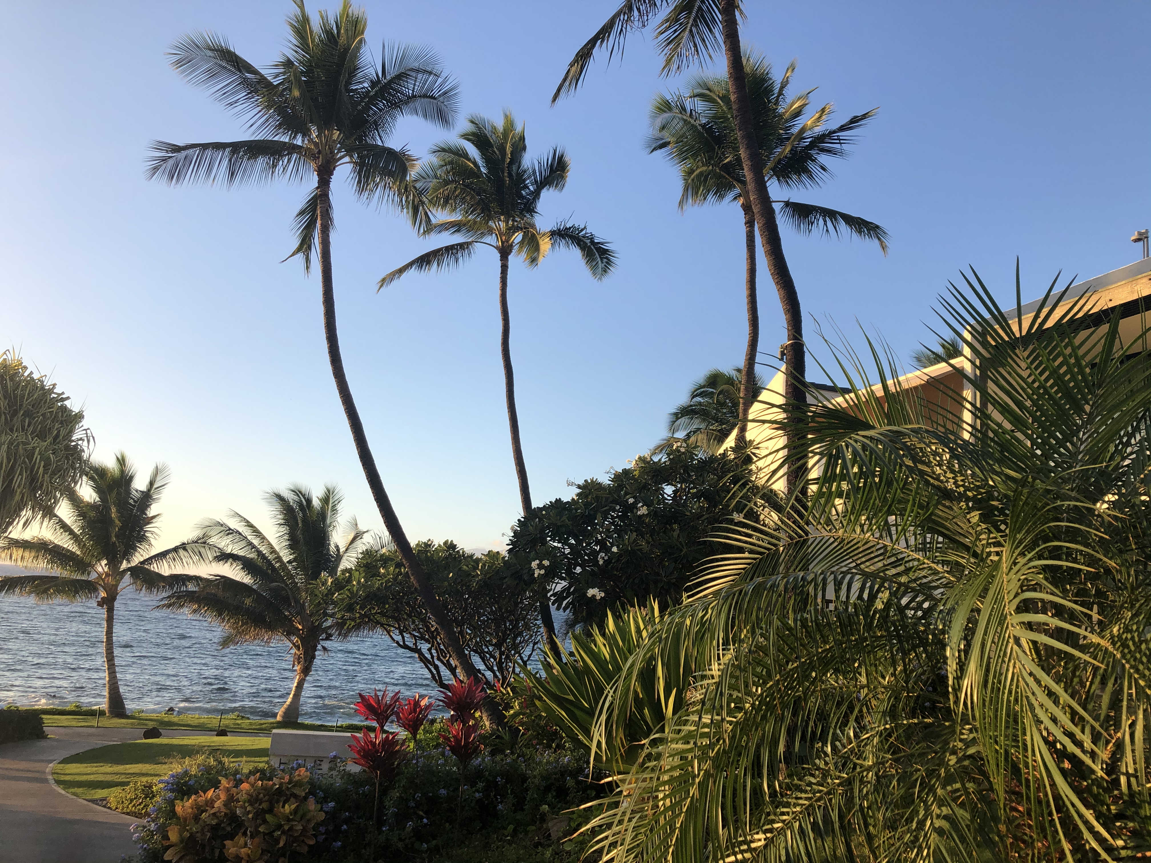 ëMaui Wailea Marriott