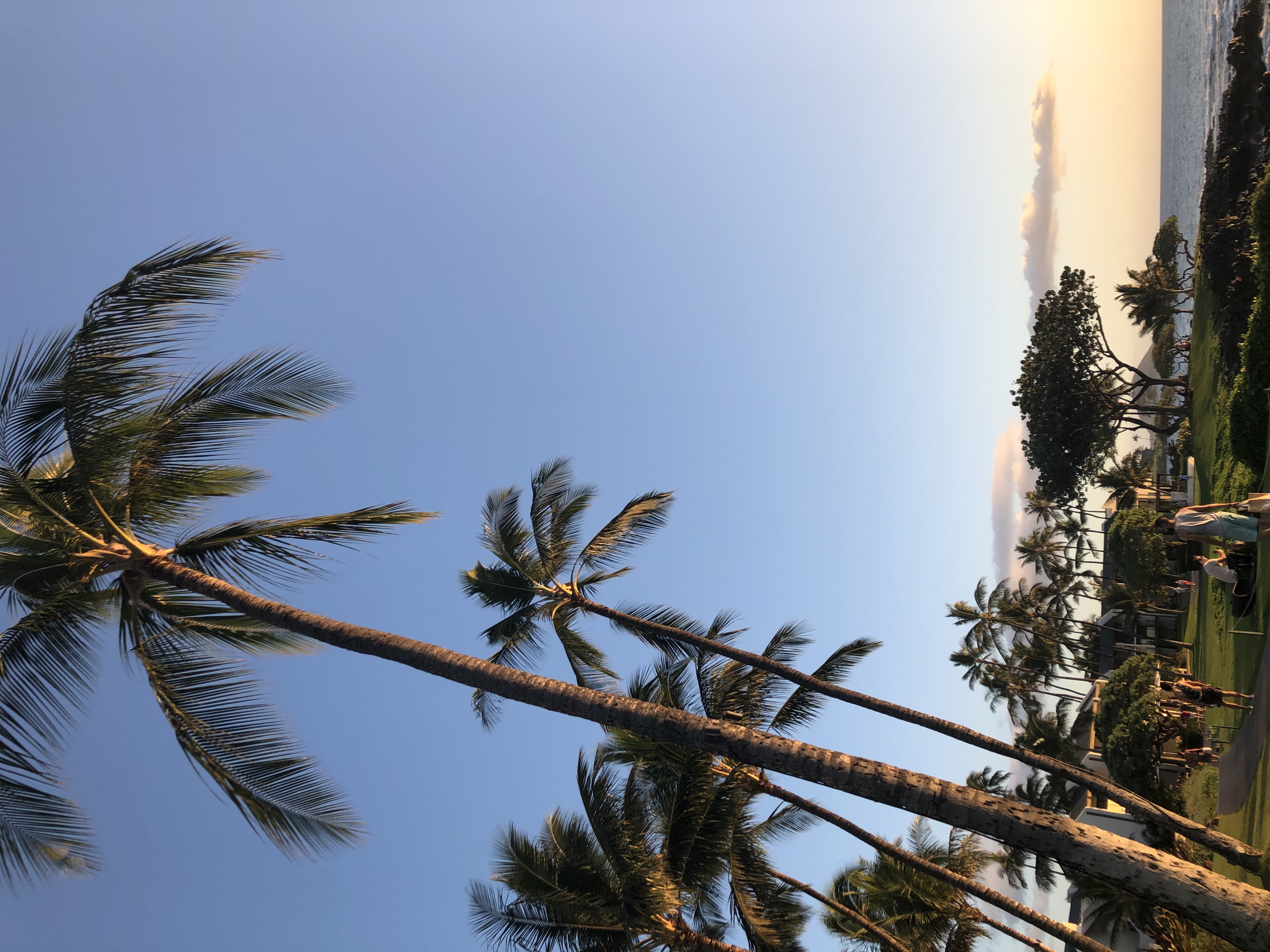 ëMaui Wailea Marriott