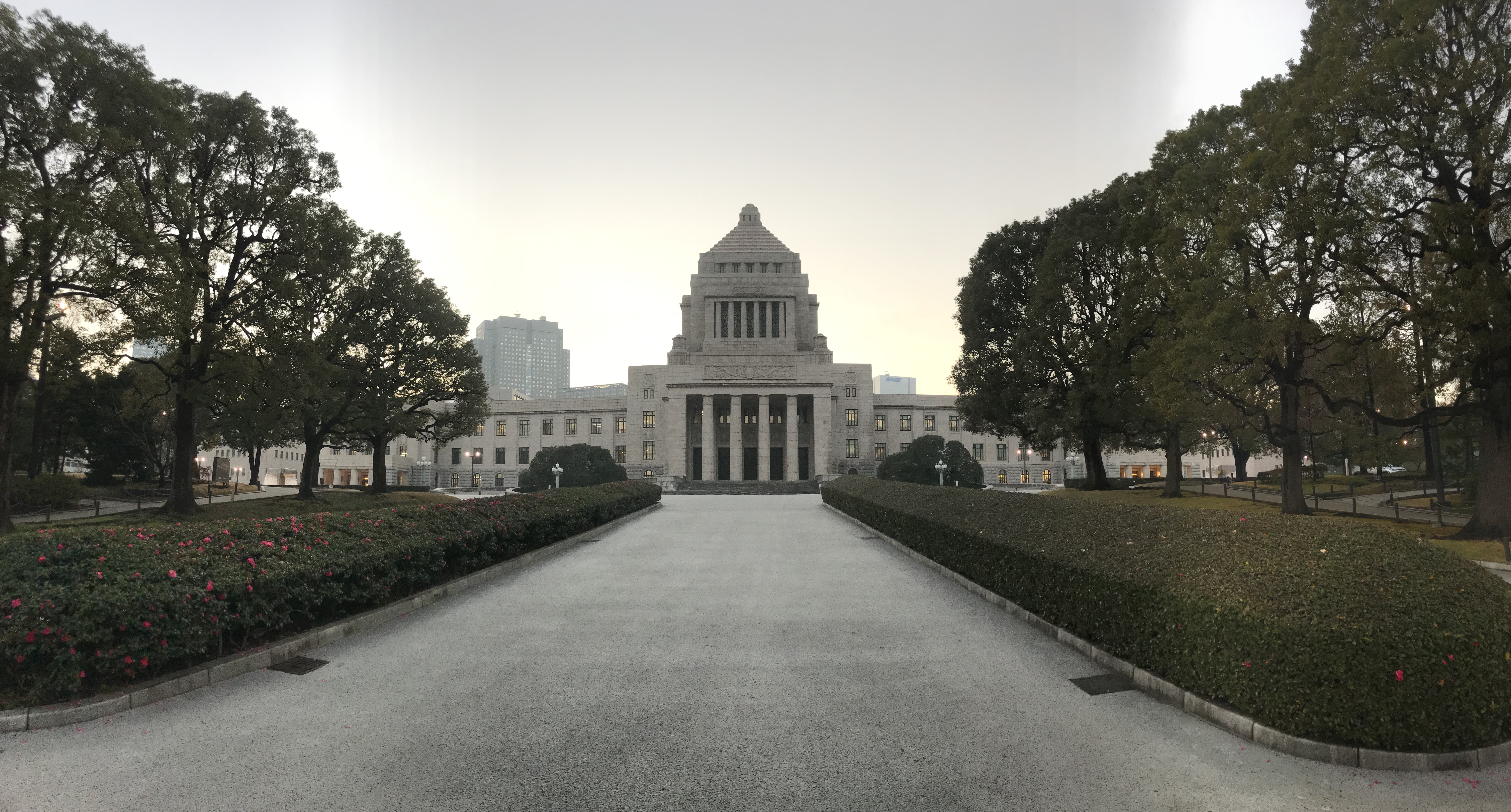 ҹ̨ϣ鱨