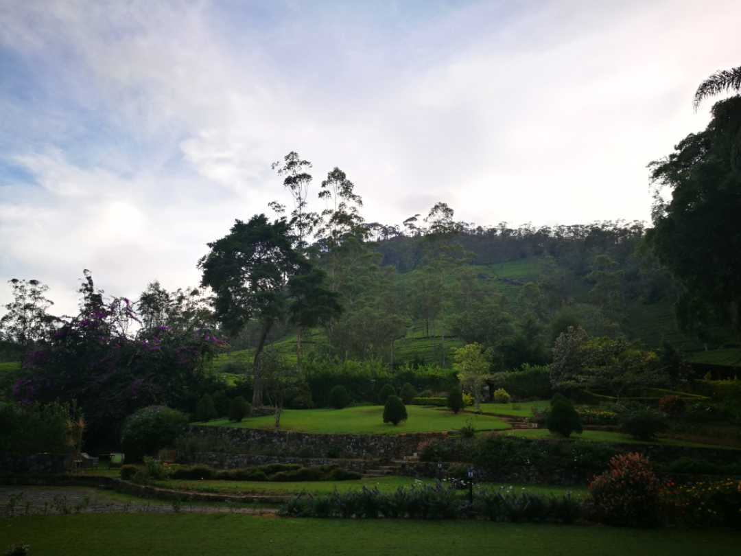 Ceylon Tea Trails, a Relais & Chateaux Hotel in Hatton