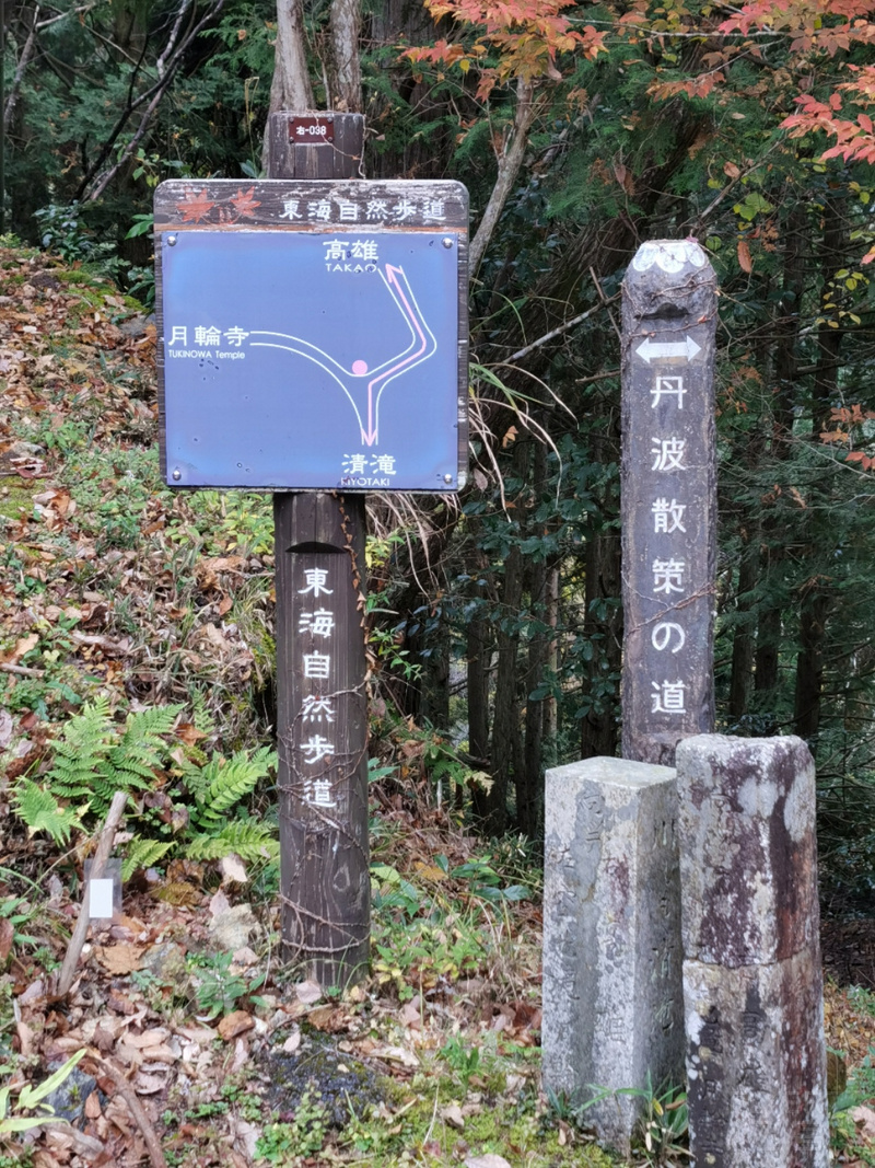 IMG_20191125_113859.jpg