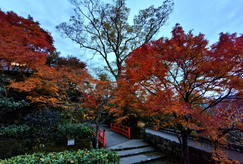 IMG_20191122_174801.jpg