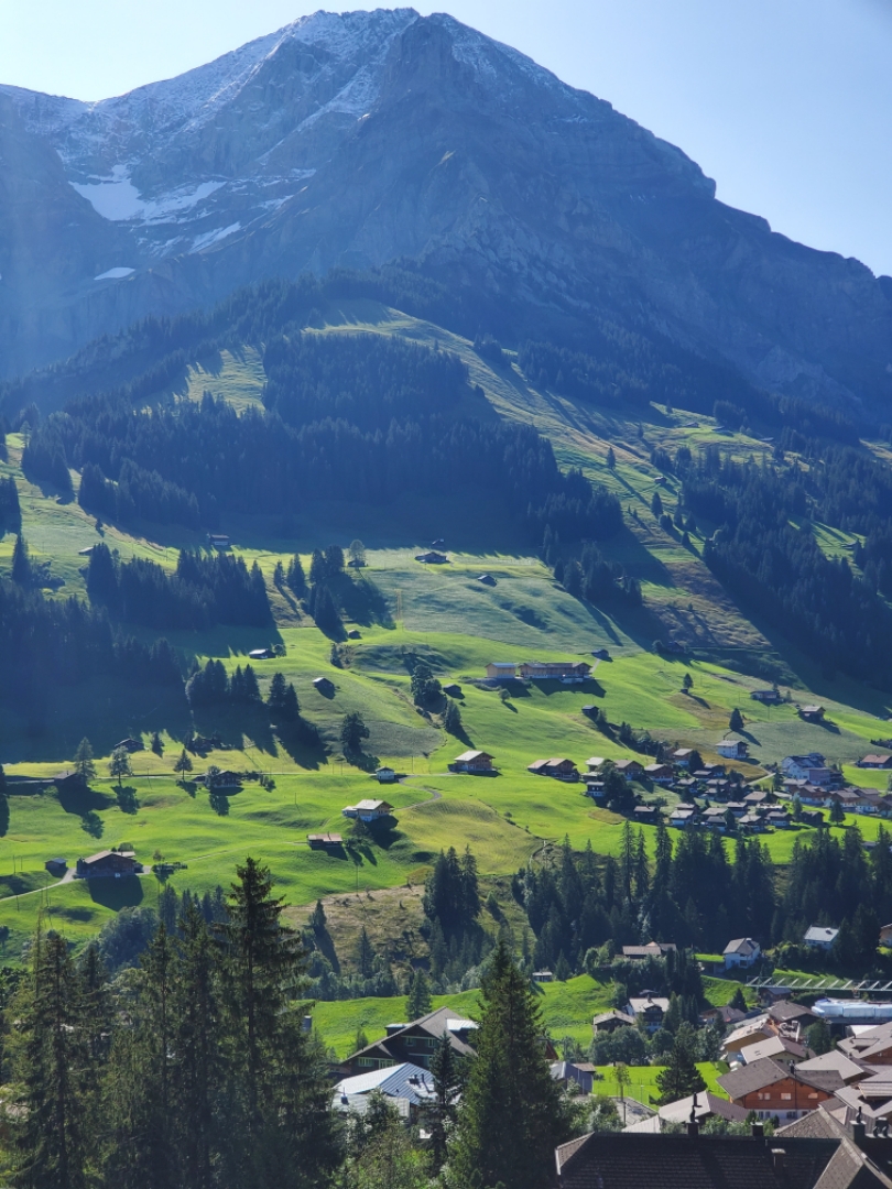 The Cambrian Adelbodenʿ