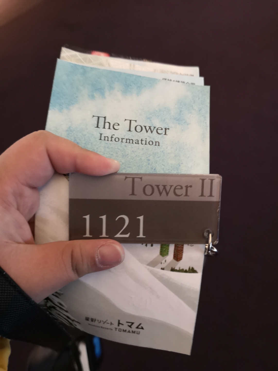 Ұȼٴ޾Ƶһ A glance of the Tower Tomamu