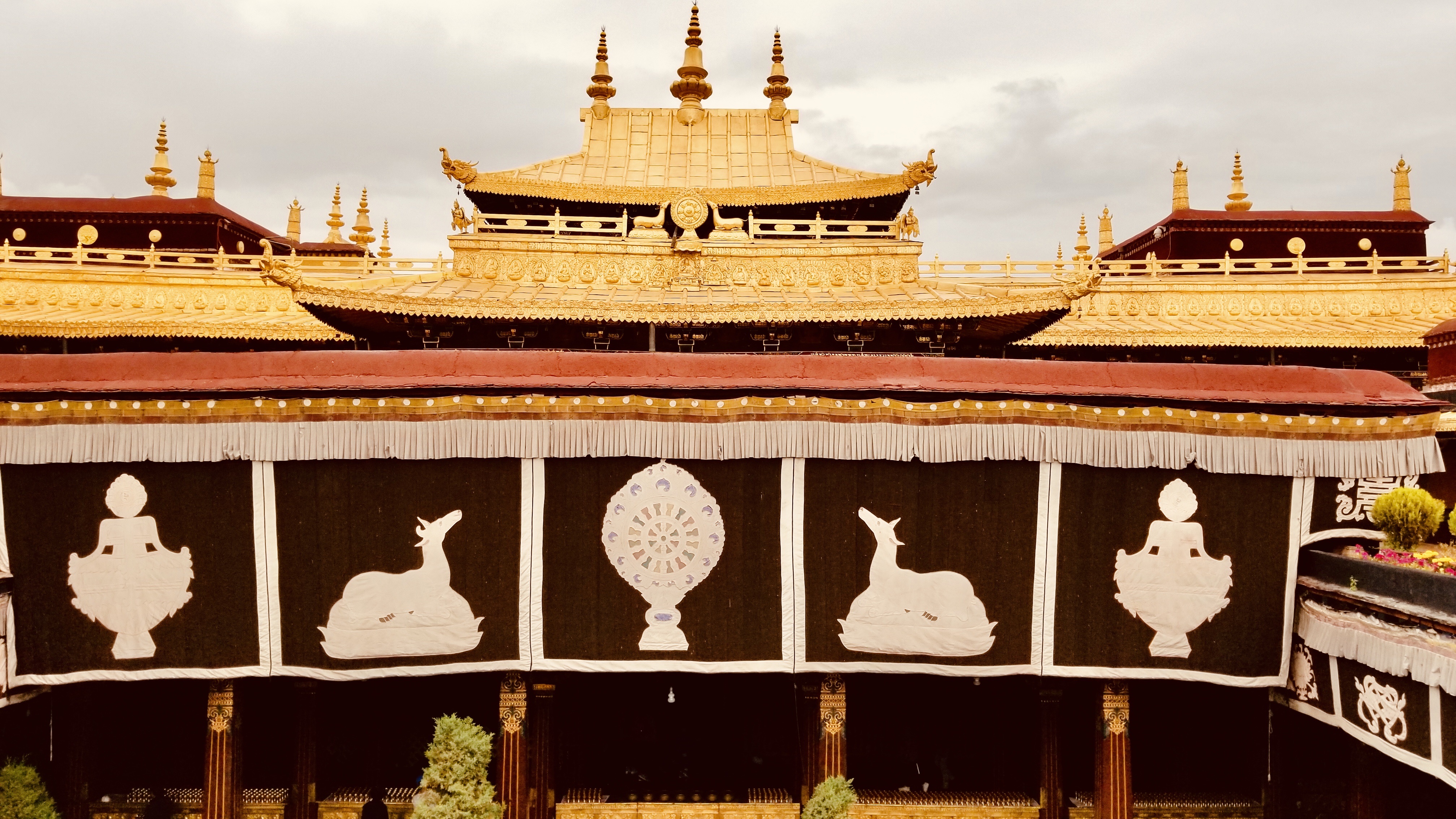 ġ𼪾ƵסӡSt.Regis Lhasa