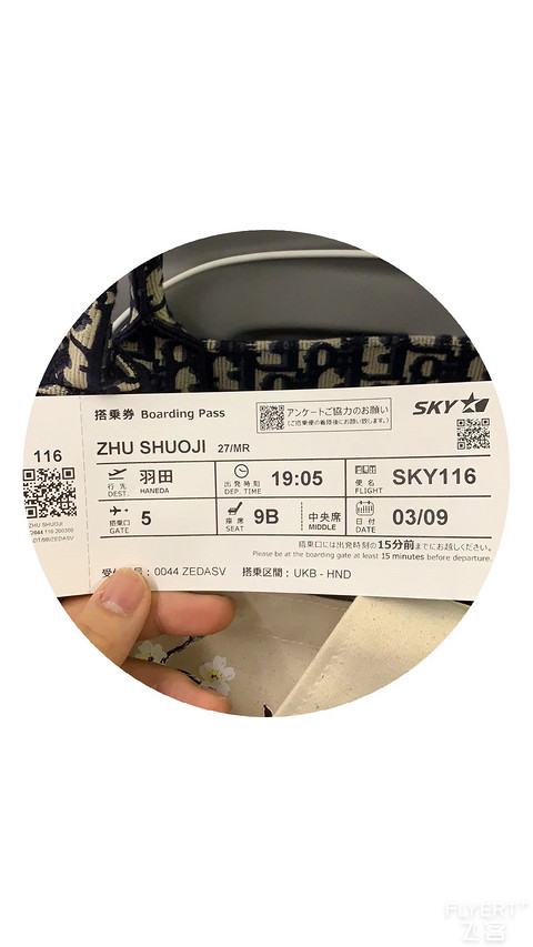 一个假日本廉价航空