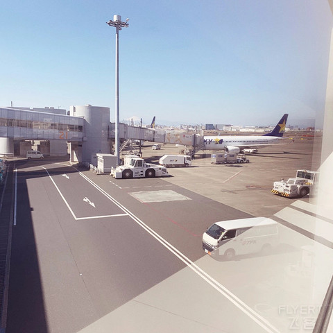 一个假日本廉价航空