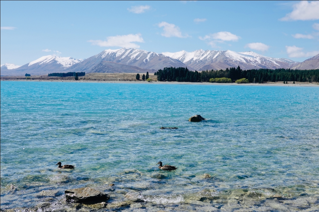 ϰ˹мͣһ-Parkbrae Estate@Tekapo Lake