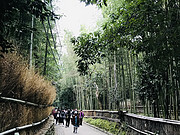 ĺɫ<em>ϣ</em>鱨